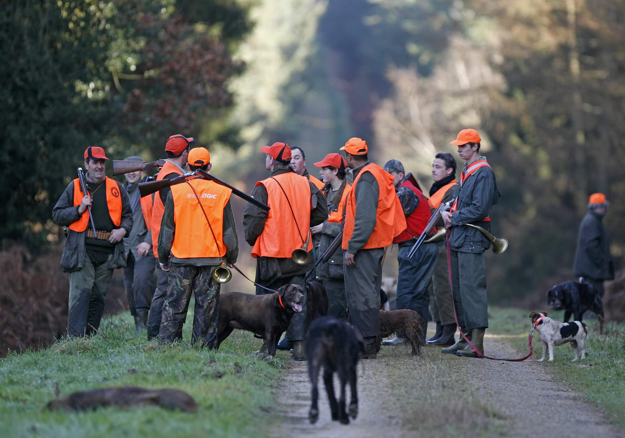groupe de chasseurs avec chiens de chasse