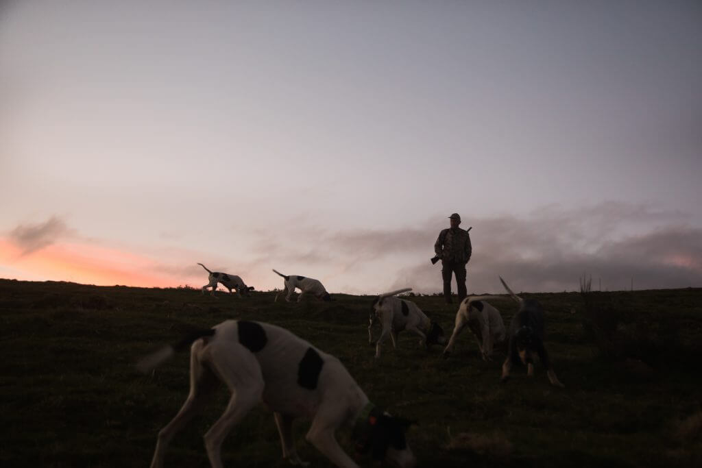 chasseur avec un groupe de chien