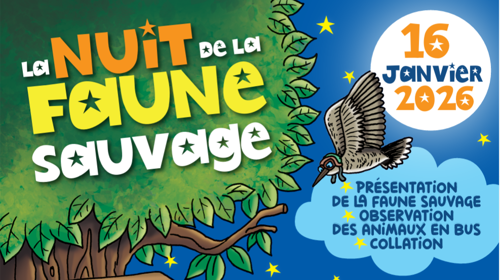 Capture d'écran 2026-01-07 120713