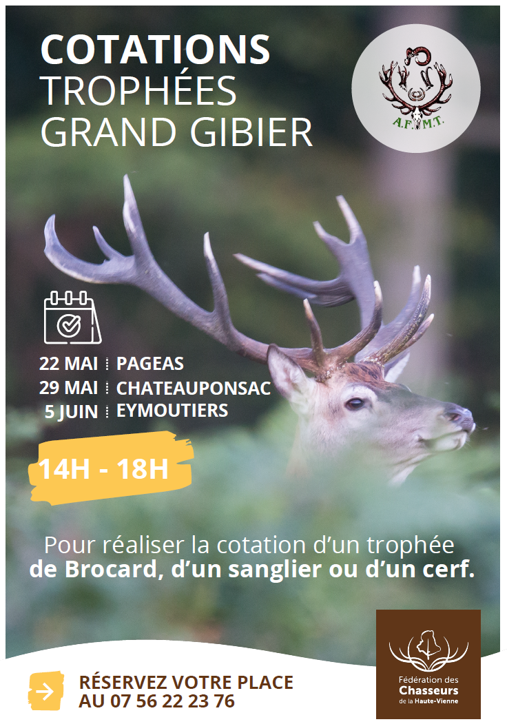 Capture d'écran 2026-04-22 122652