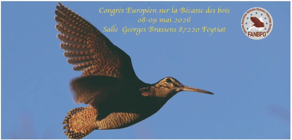 Capture d'écran 2026-04-30 163350