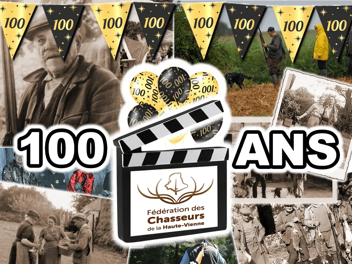 TEMPLATE FILM 1200x800